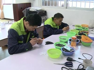 振奮人心 | 東興區(qū)殘疾人就業(yè)創(chuàng)業(yè)正當時！